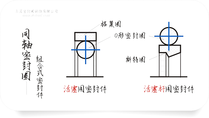 同軸組合密封件圈截面結(jié)構(gòu)平面圖（圖1-1）
