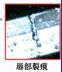 汽車油封使用配合中導(dǎo)致失效的6個(gè)重點(diǎn)(二)