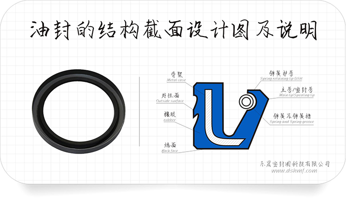 油封的外緣部4種泄漏方式及9條原因分析匯報(bào)！油封的唇口10種泄漏原因及26條分析結(jié)果表！