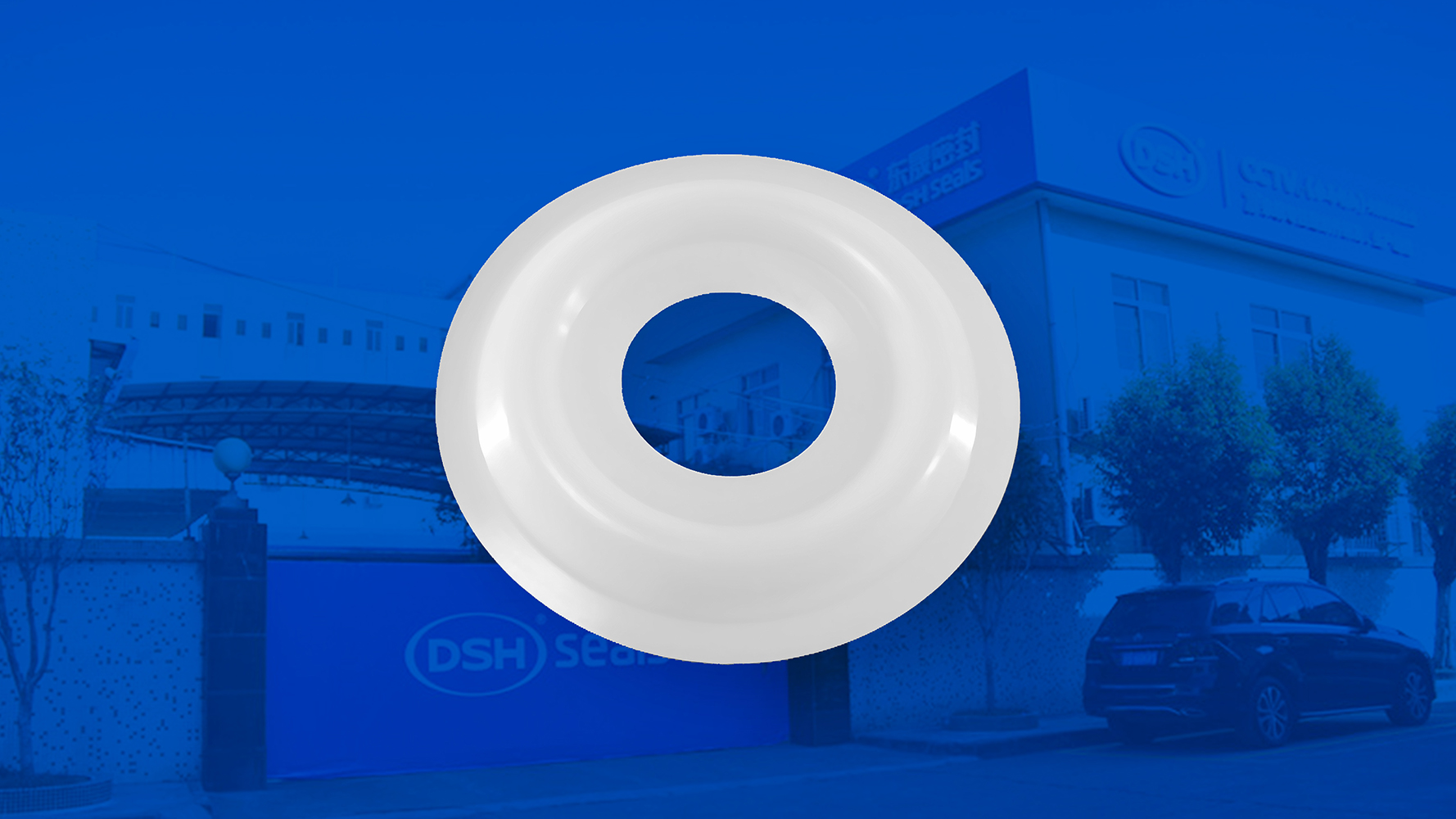 米頓羅計(jì)量泵膜片i海報(bào) （又叫隔膜、密封件、密封圈、油封） (1)